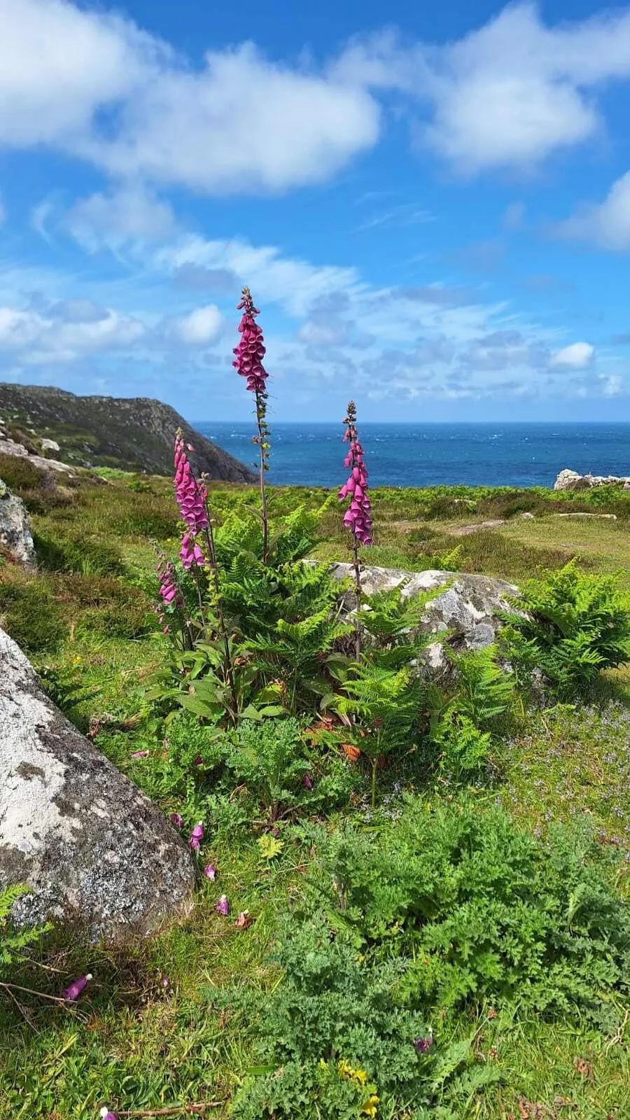 Lo Mejor del Camino Costero de Pembrokeshire - Alojamiento Antes y Después 1