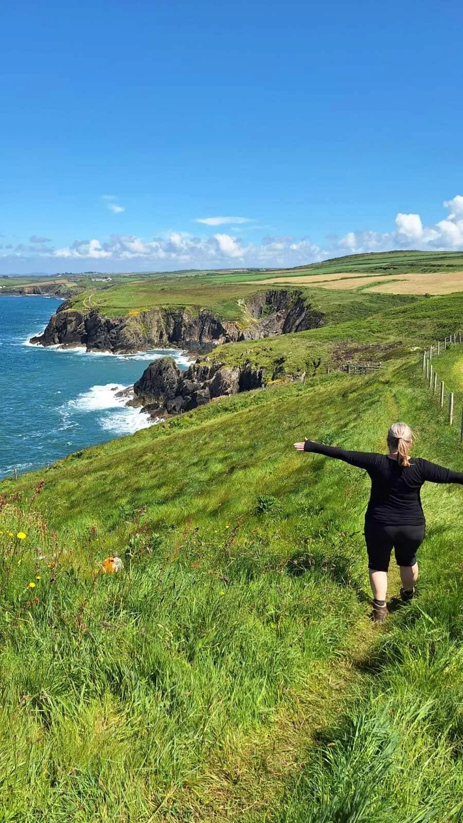 Bästa delen av Pembrokeshire Coast Path med boende före och efter (8 dagar)