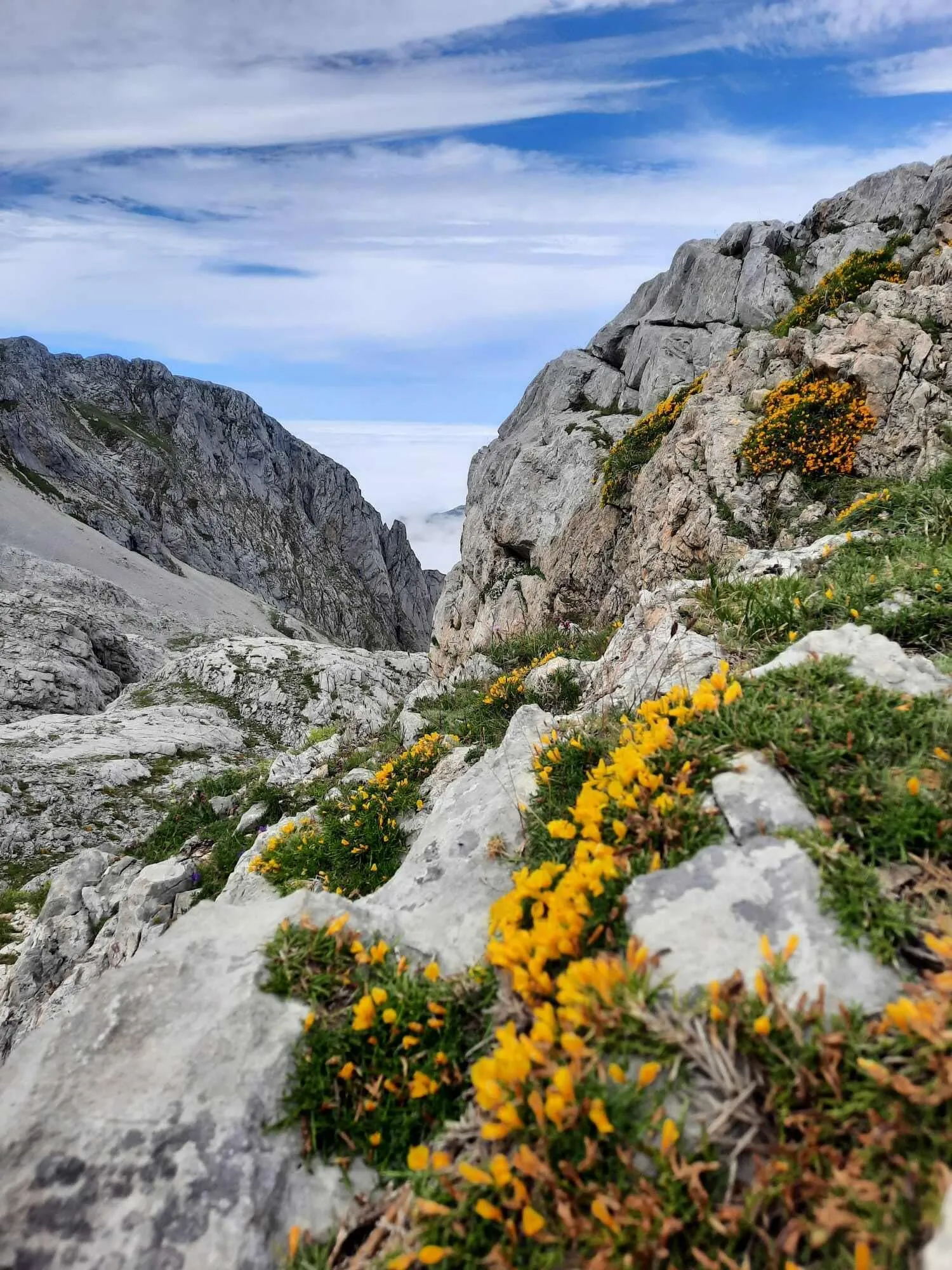 Picos de Europa - Średni trekking - W tym zakwaterowanie przed i po 11