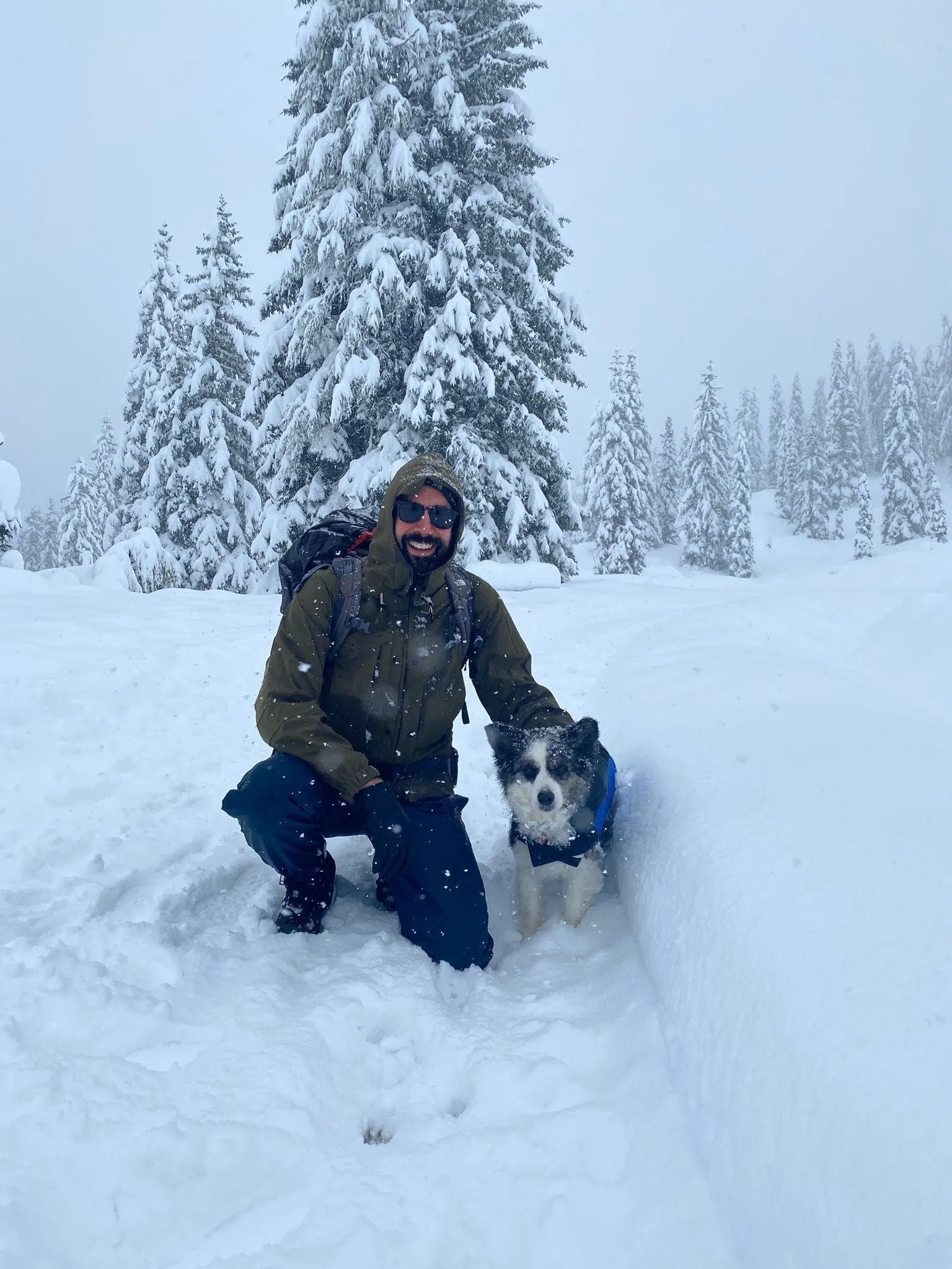 Salzburger Almenweg autour du Hochkönig - Adapté aux chiens