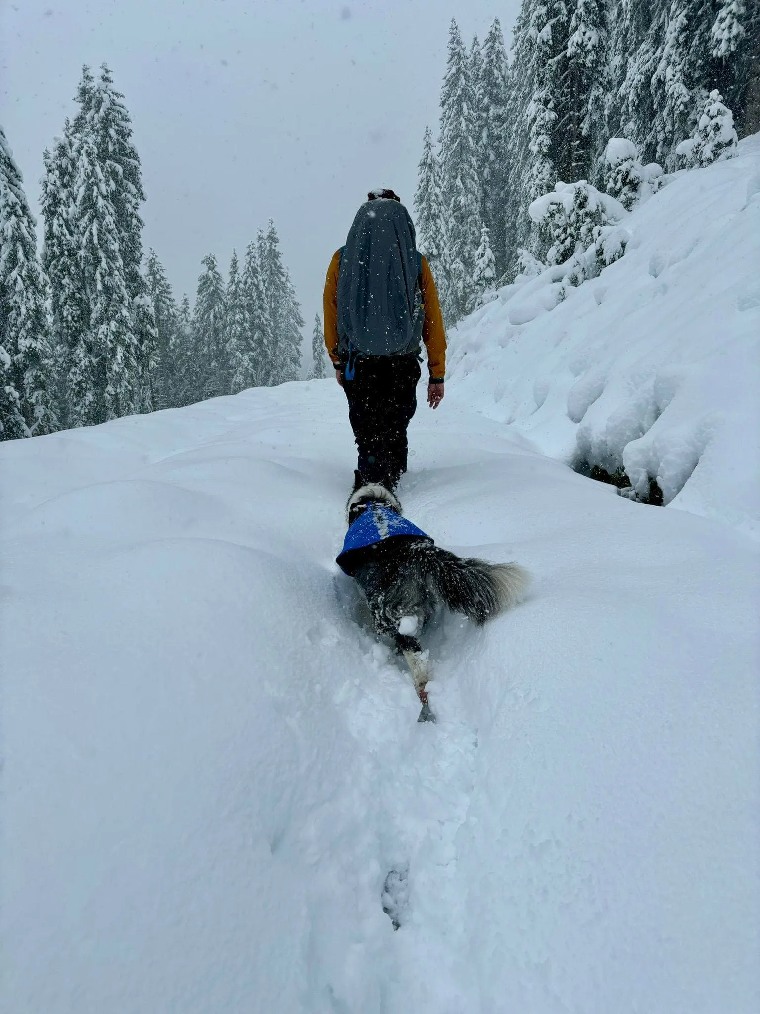 Le chemin des alpages de Salzbourg autour de Hochkönig - comprenant l'hébergement avant et après. 7