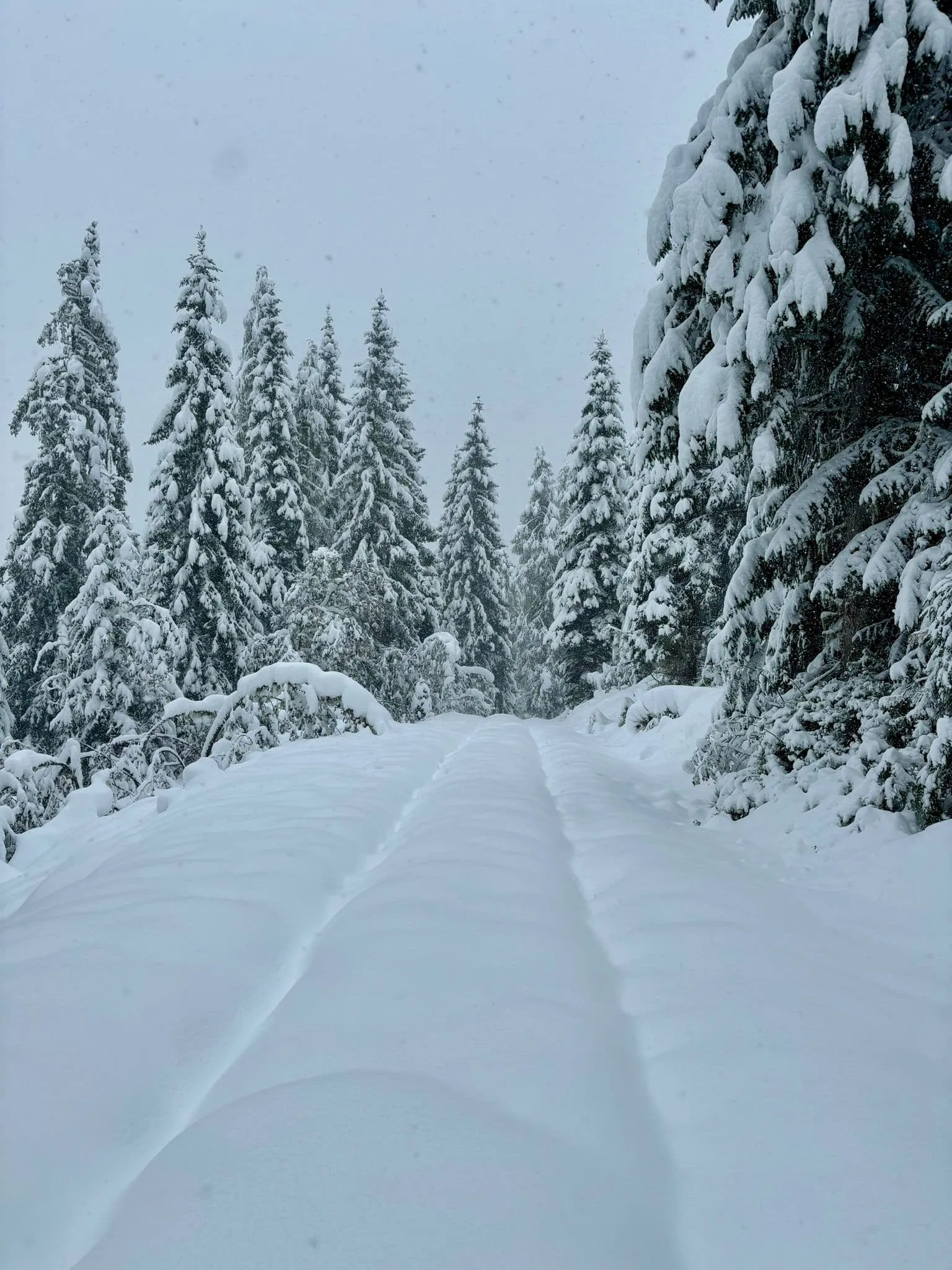 Salzburger Almenweg runt Hochköning 7