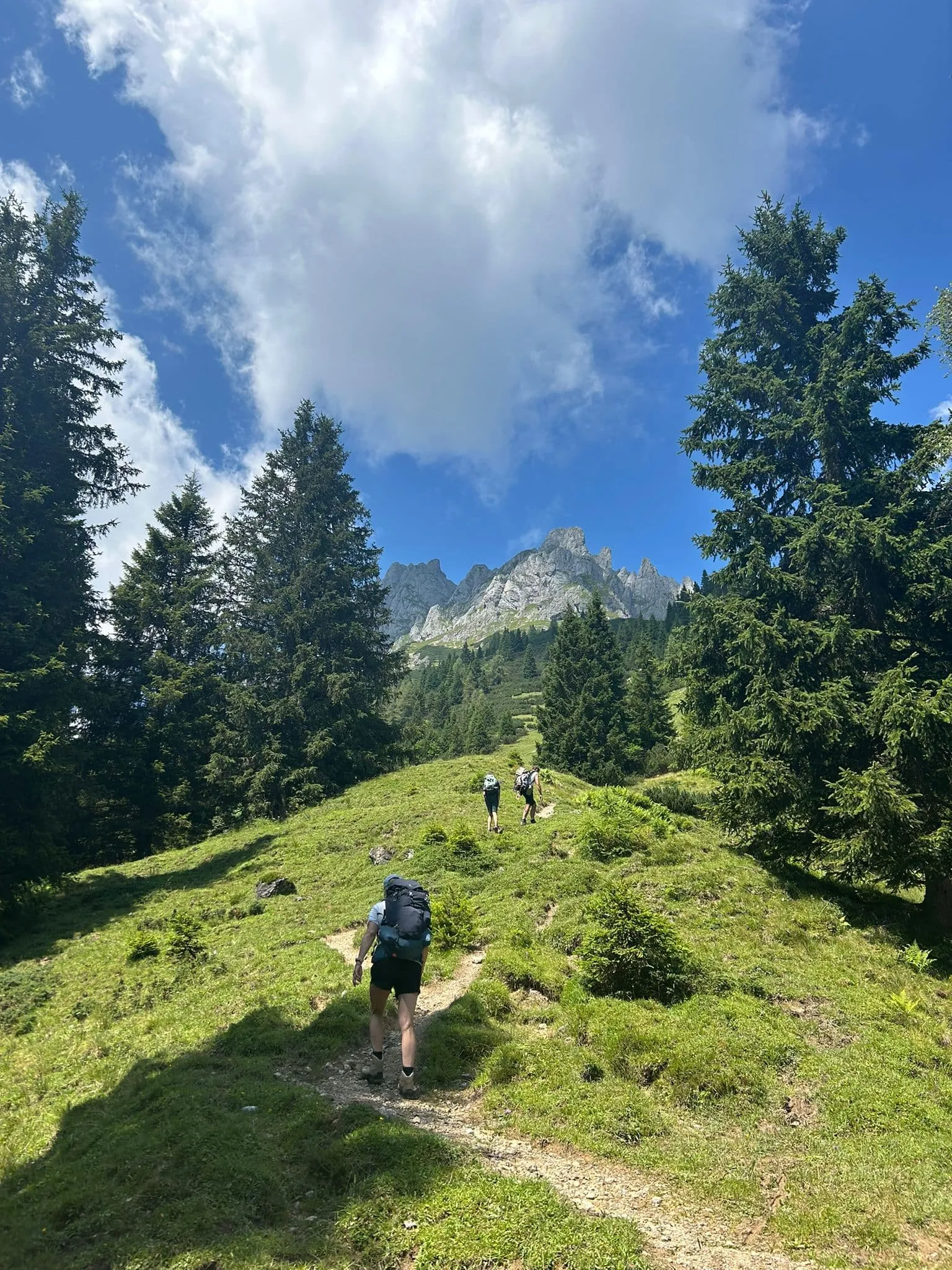 Salzburger Almenweg alrededor del Hochköning 6