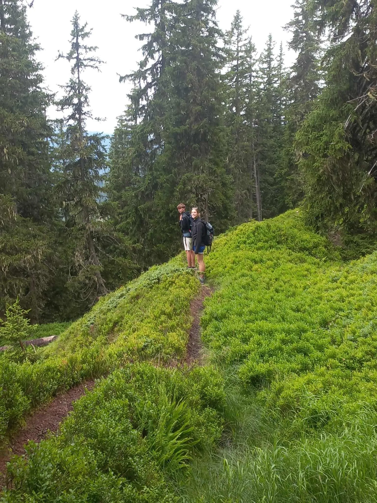 Le sentier des alpages de Salzbourg autour de Hochköning 4