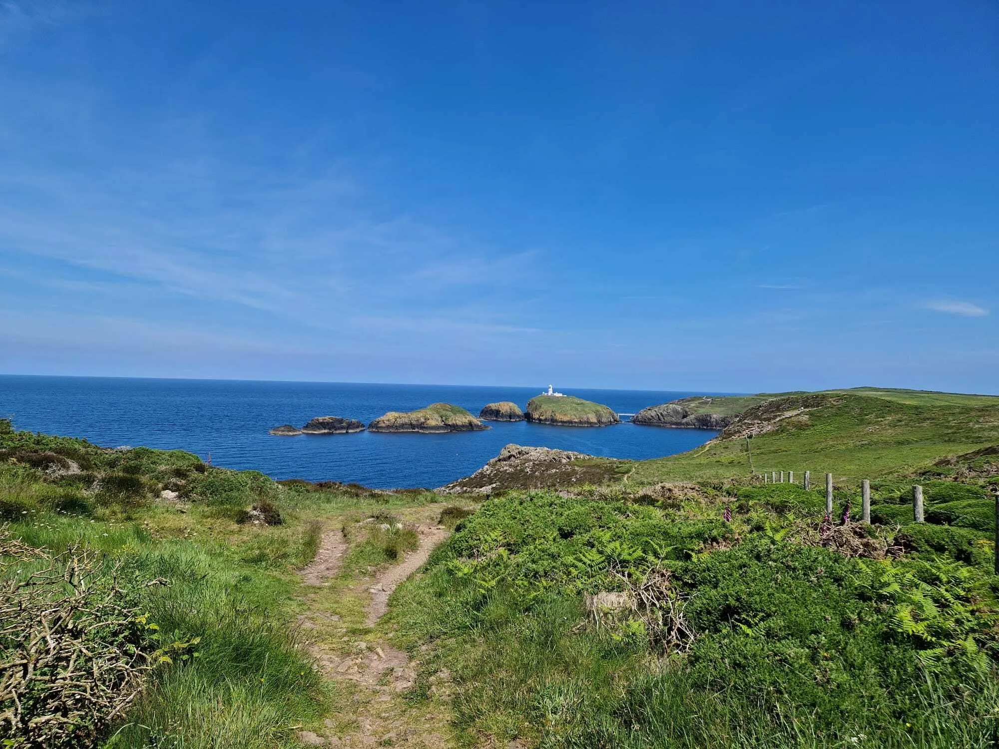 Lyhyt Pembrokeshire Coast Path majoituksella ennen ja jälkeen (7 päivää) 2