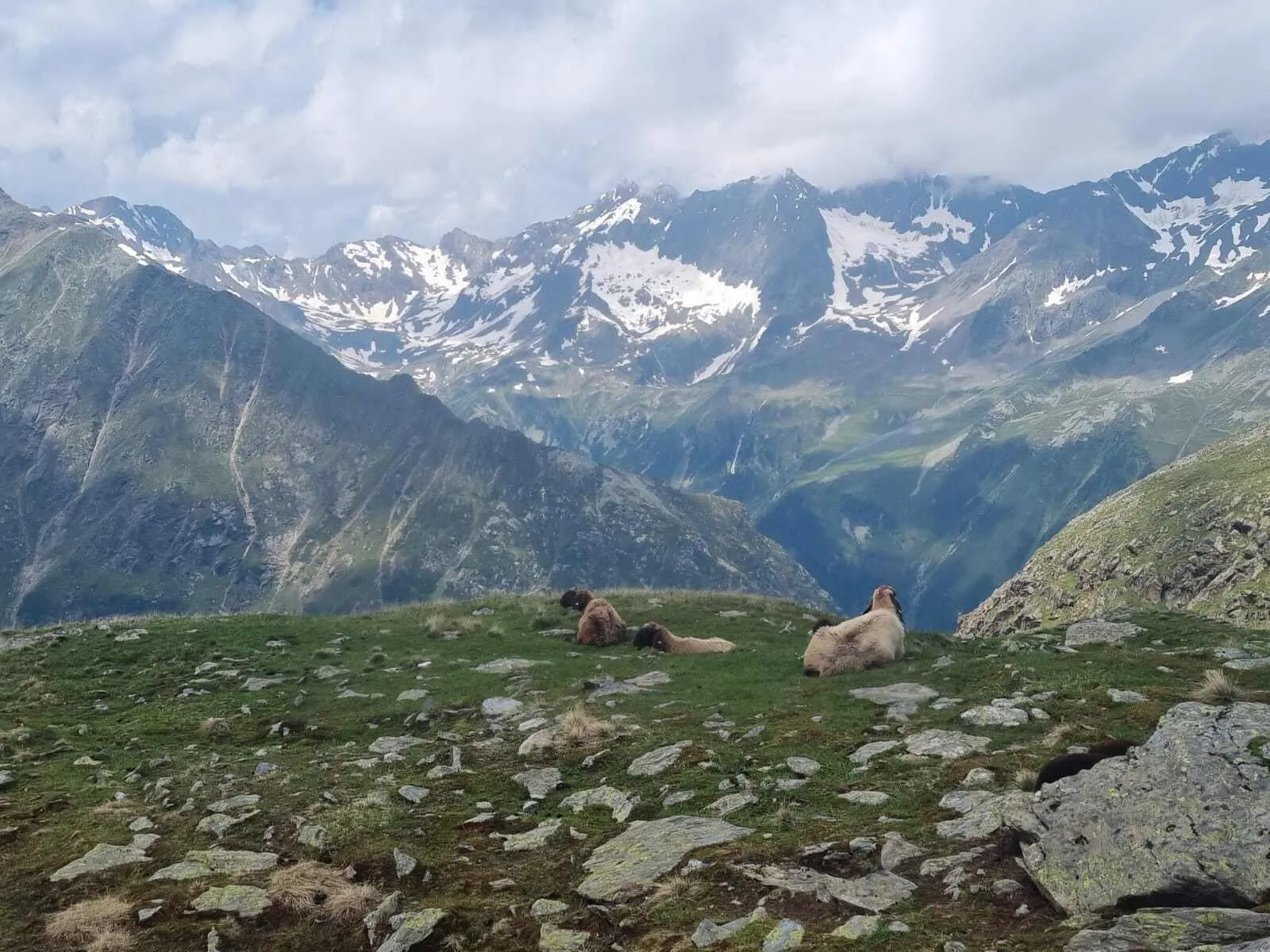 Cały Stubaier Höhenweg 3