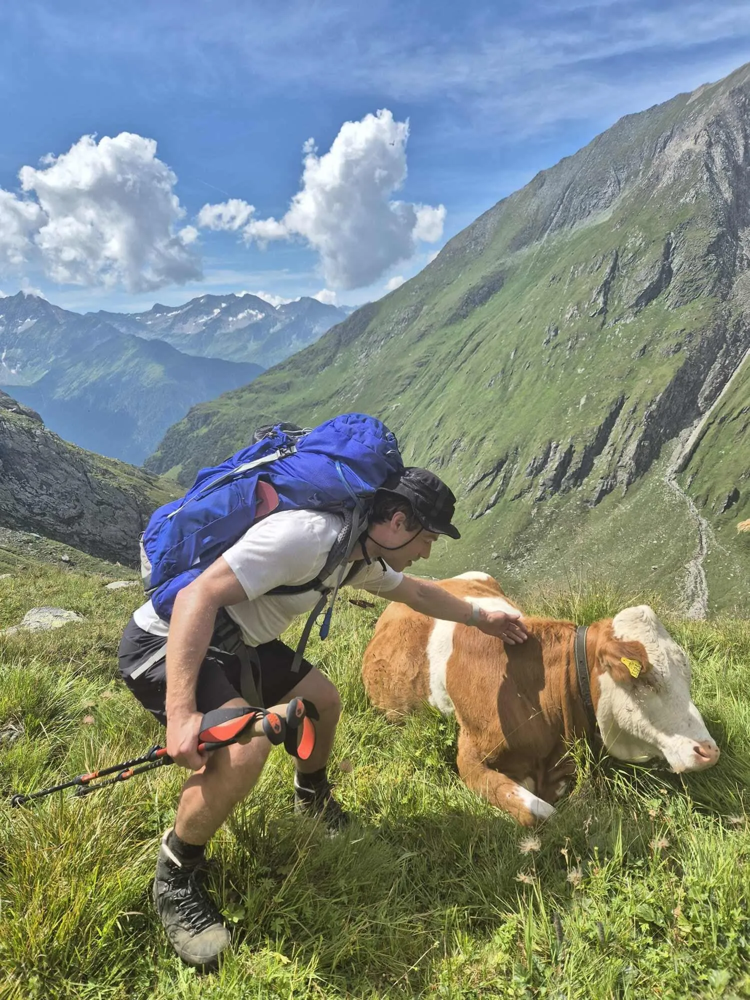 Sentier de haute altitude intensif de Venediger 12