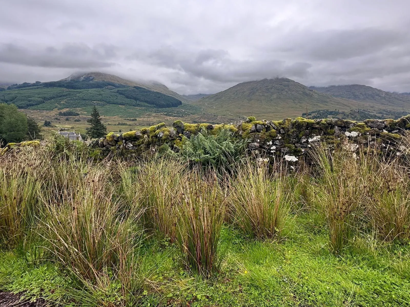 West Highland Way - Intensivt 4