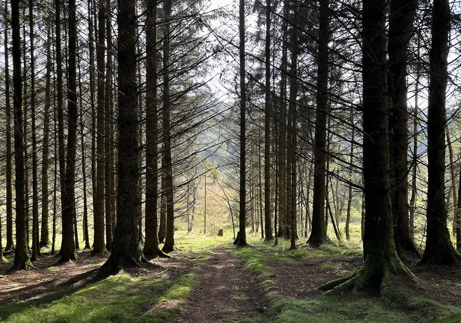 West Highland Way - Lätt 9