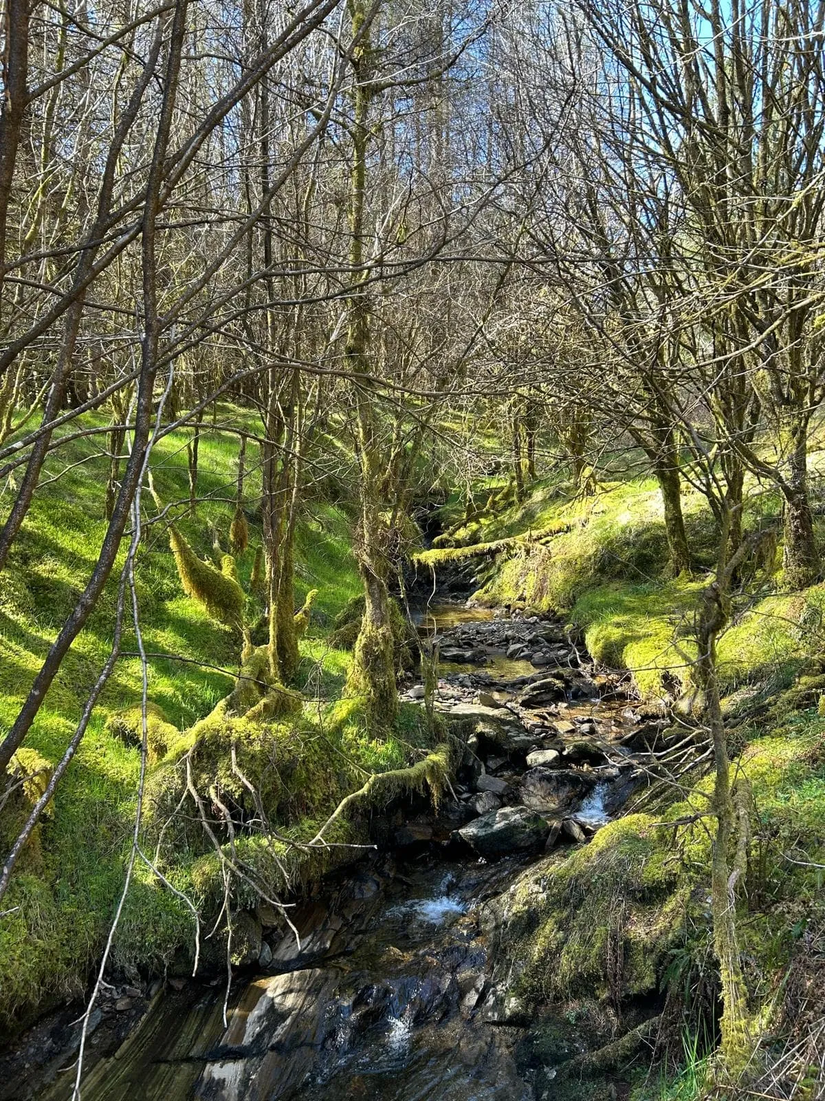 West Highland Way - Gemiddeld 7