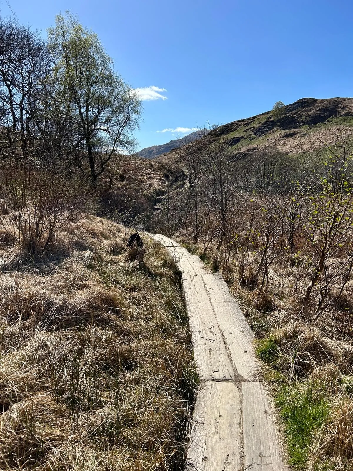 West Highland Way - Easy 1