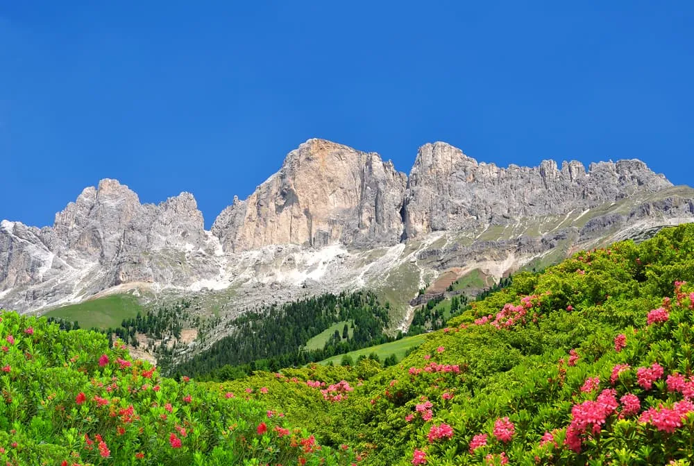 Val di Fassa 8310