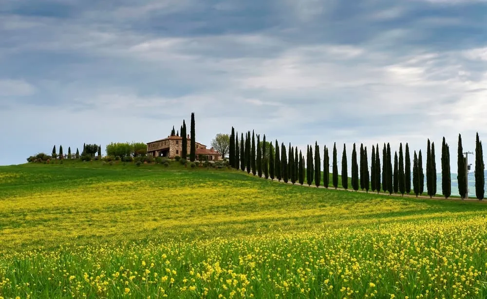 3. Val d’Orcia Panorama Experience: Upptäck Toscanas ikoniska landskap