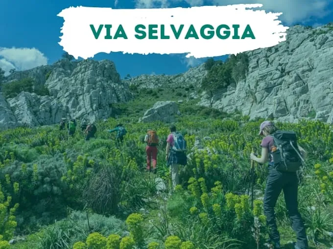 VIA SELVAGGIA SARDINIEN - FRÅN € 1050