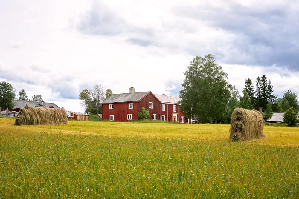 Jämtlandstriangeln - Boende Före och Efter Inkluderat 5