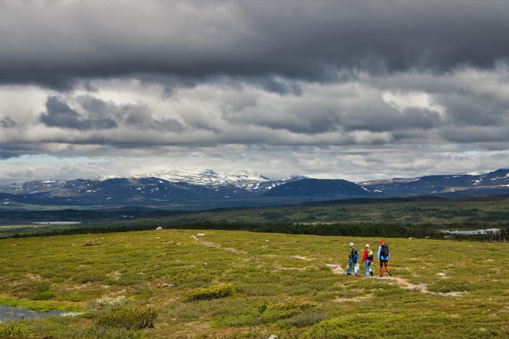 Jämtland Triangle Trail + Storsylen Ascent