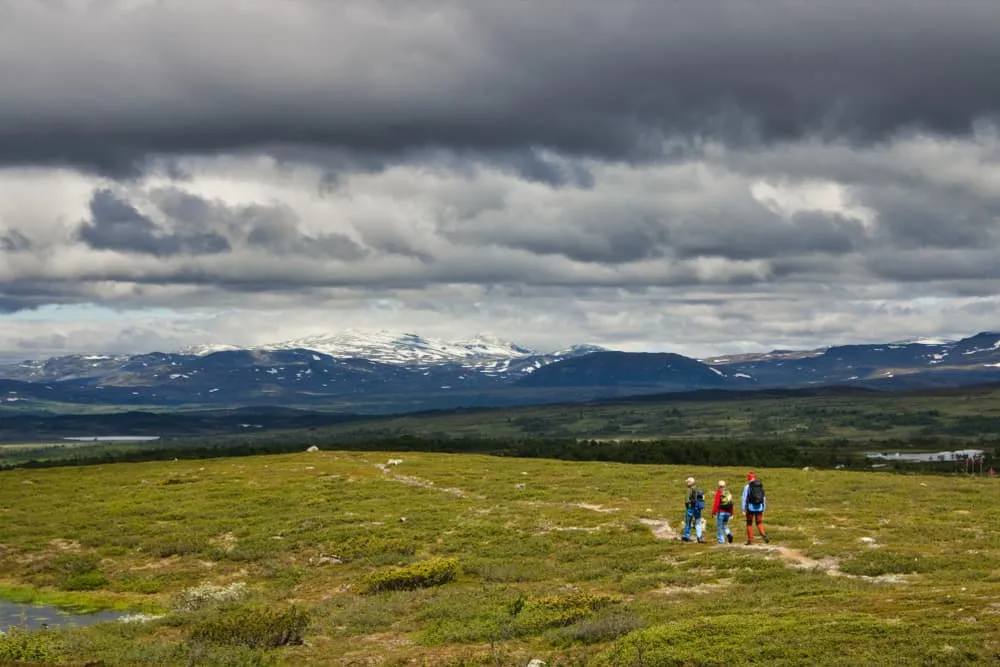 Jämtlandstriangeln + Bestigning av Storsylen - Boende Före och Efter Ingår