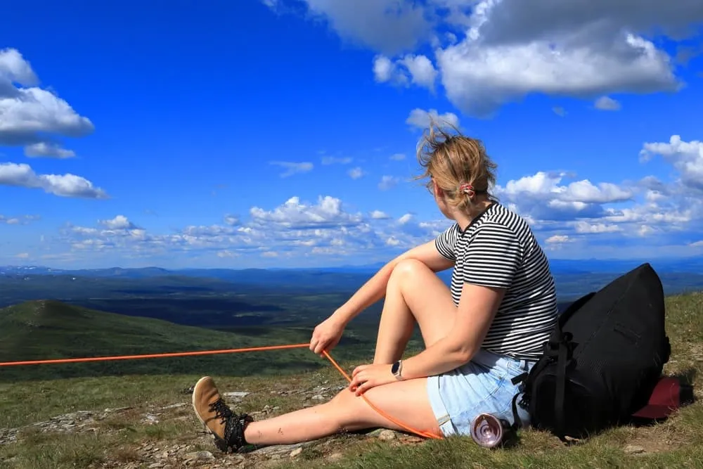 Jämtlandstriangeln - Boende Före och Efter Inkluderat
