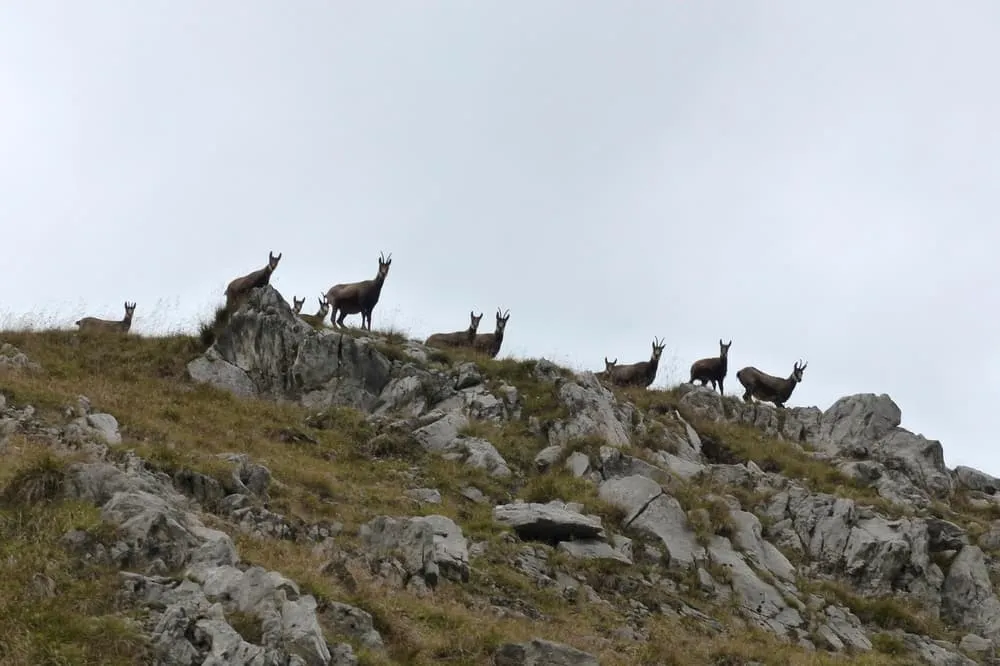 Melhor de Karwendel - Nível Intermediário 4