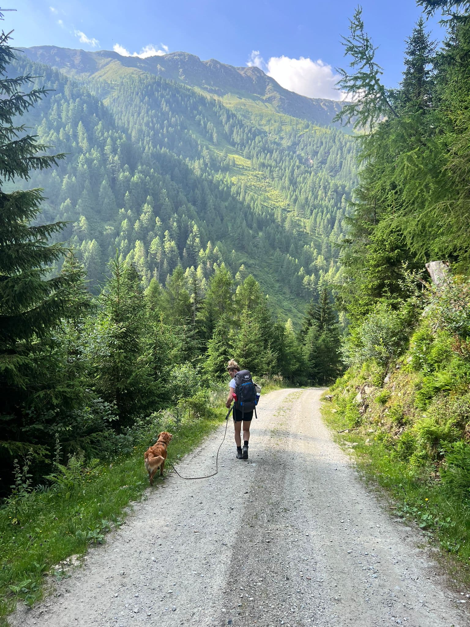 Lasörling Höhenweg - Short Version