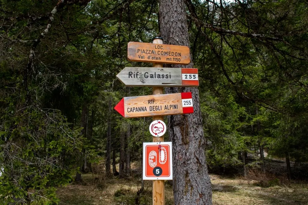 Alta Via della Marmotta Fottur 1