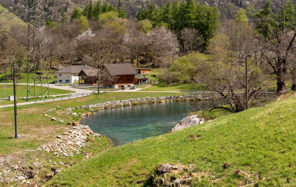 Famille Ticino 1