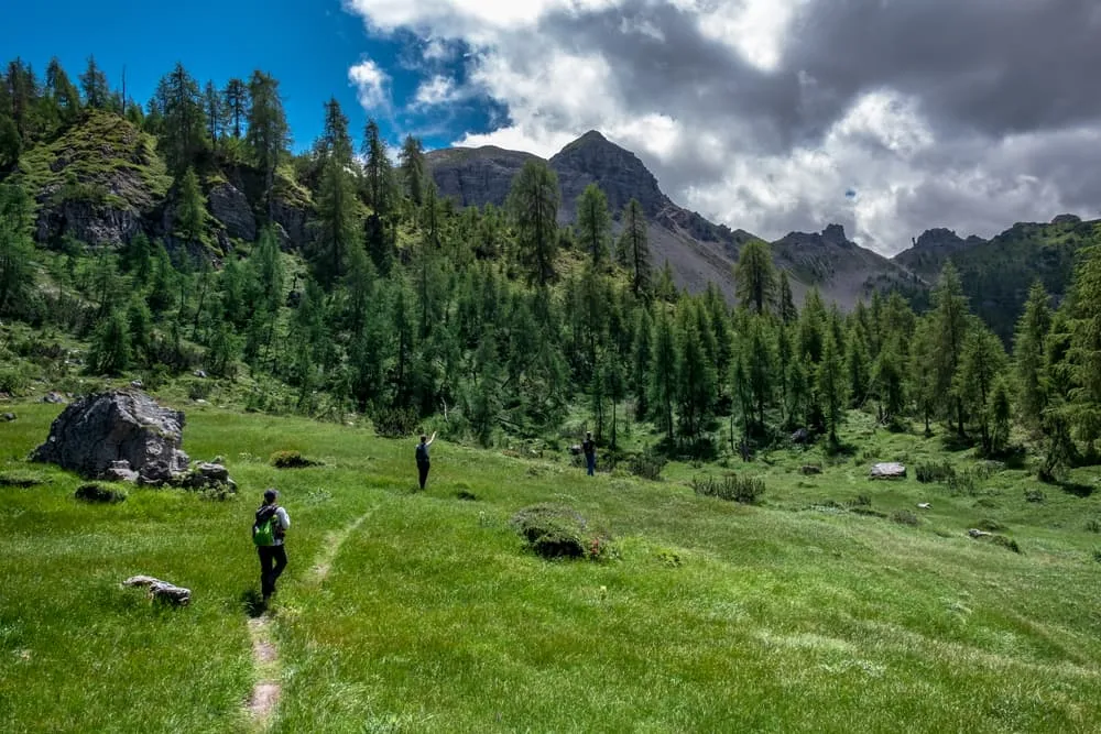 Dolomiti Friulane