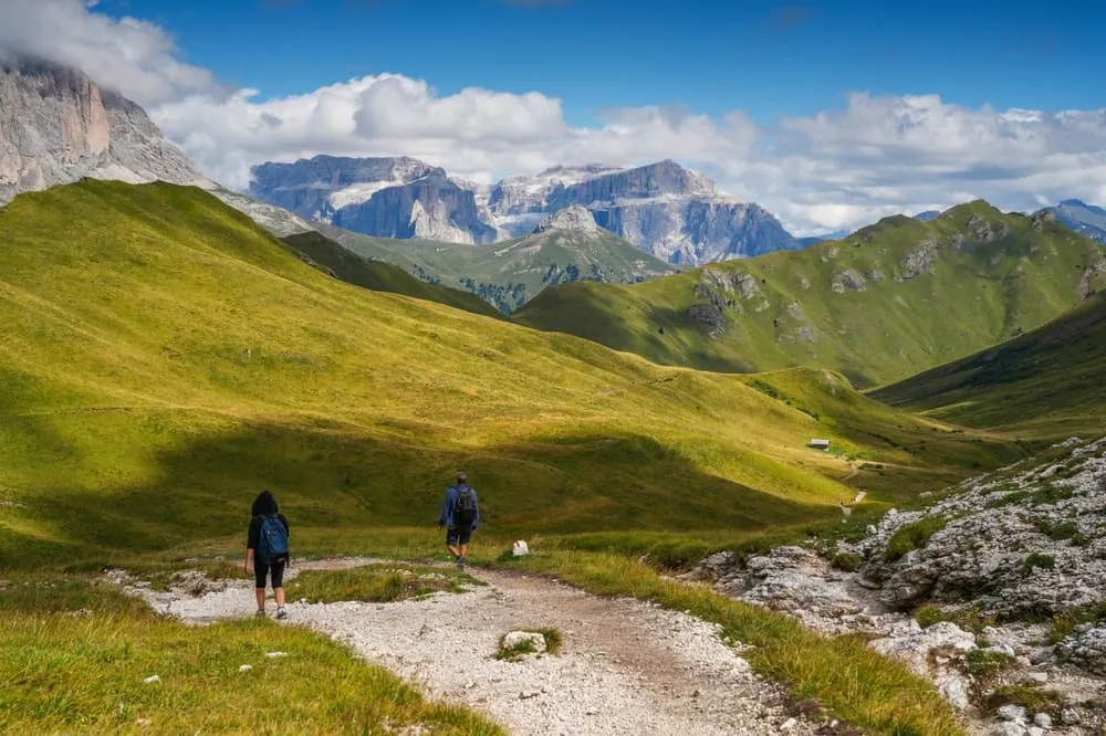 Kleiner Rosengarten 7