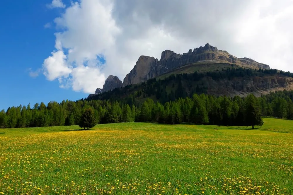 Kleiner Rosengarten 1