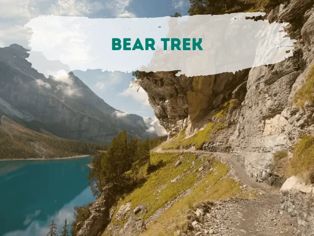Bear Trek: