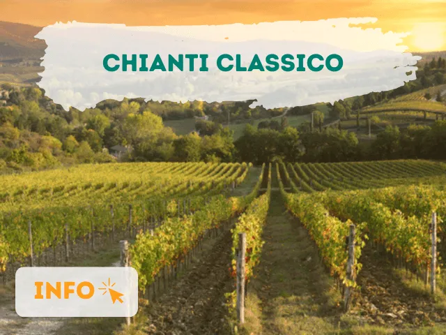CHIANTI CLASSICO: