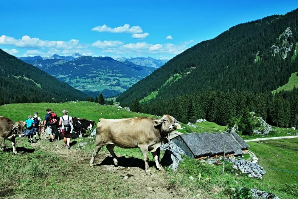 Aloittelijan Montafon Fun Trek 6