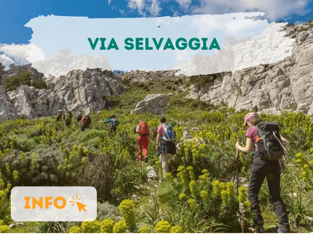 VIA SELVAGGIA SARDINIA: