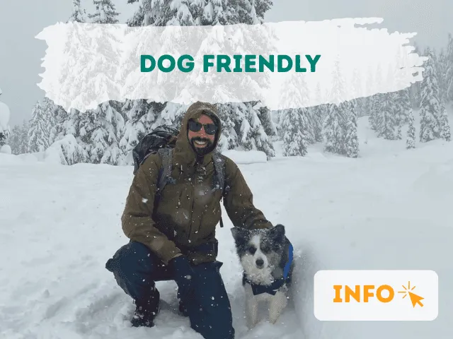 🐶 Hond-vriendelijke Salzburger Almenweg: