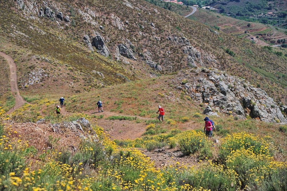 Intermediate Short Elba Trail
