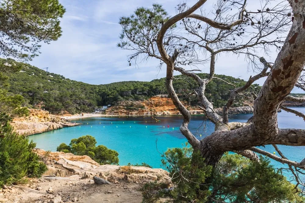 Ibiza-vaellus – 7 päivää rannikko- ja sisämaanvaellusta 8