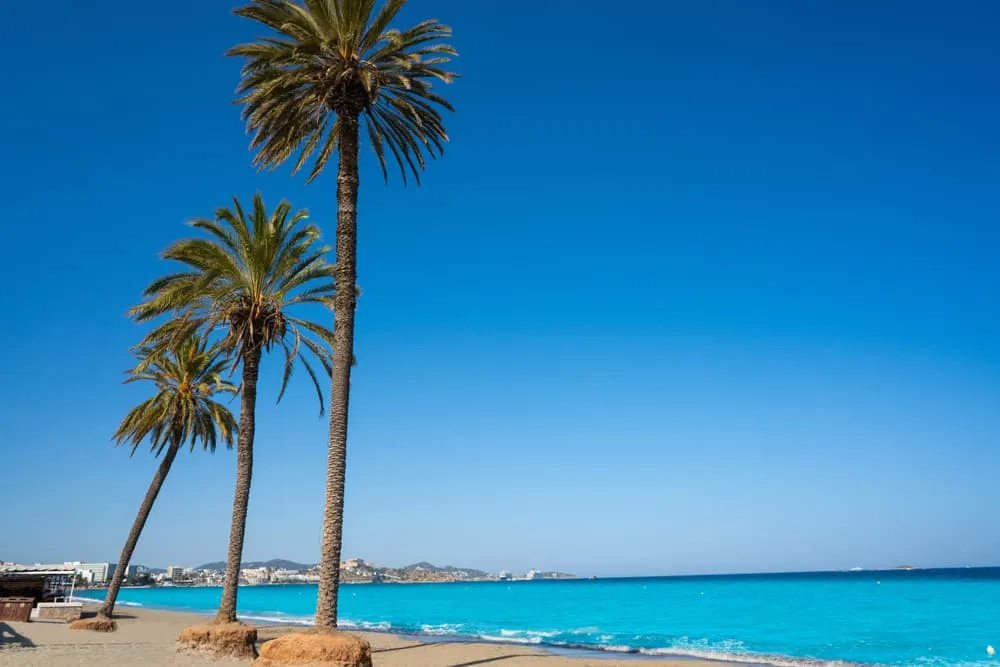 Ibiza-vaellus – 7 päivää rannikko- ja sisämaanvaellusta 4
