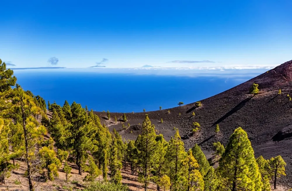 La Palma Trail