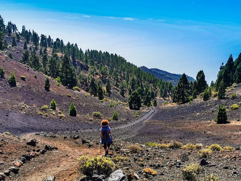 La Palma-leden 5