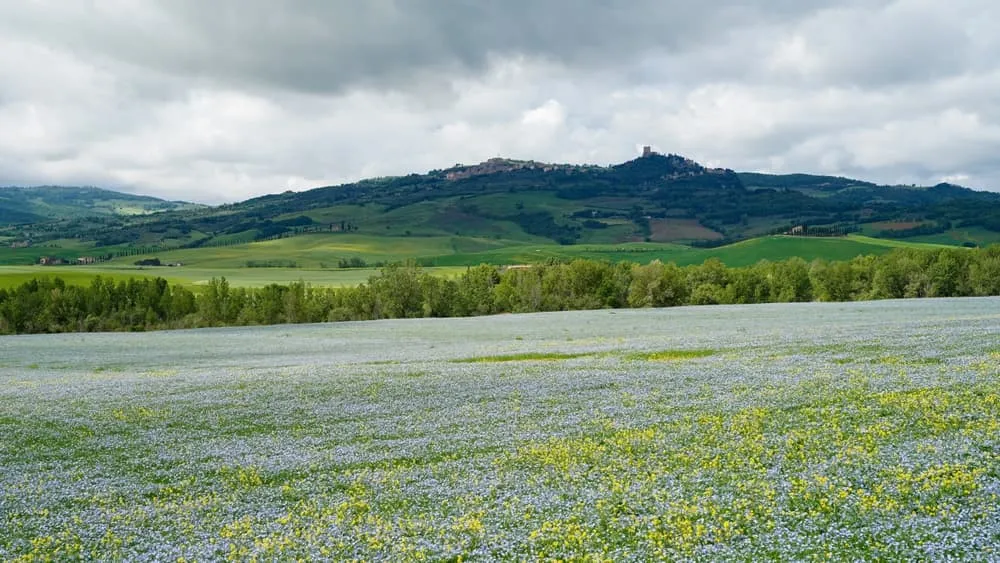 Trekking intenso por Val d'Orcia 6