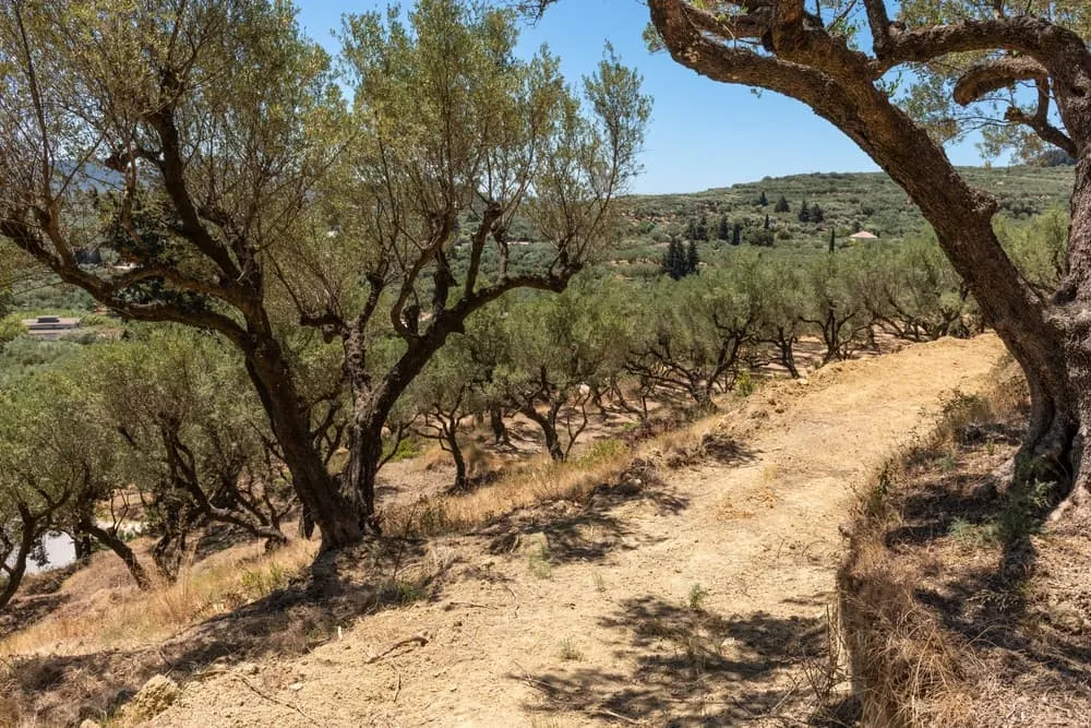 Zakynthos-stien 4