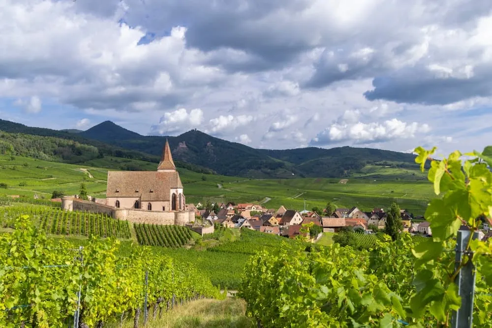 Elsass Weinberge & Schlösser Runde 2
