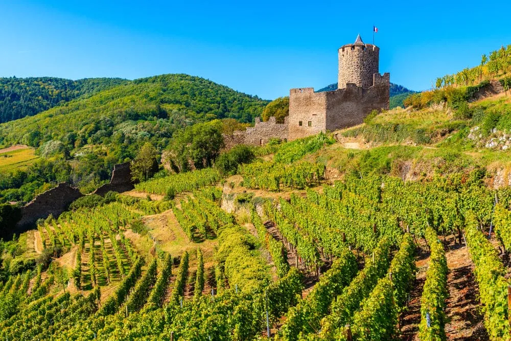 Elsass Weinberge & Schlösser Runde