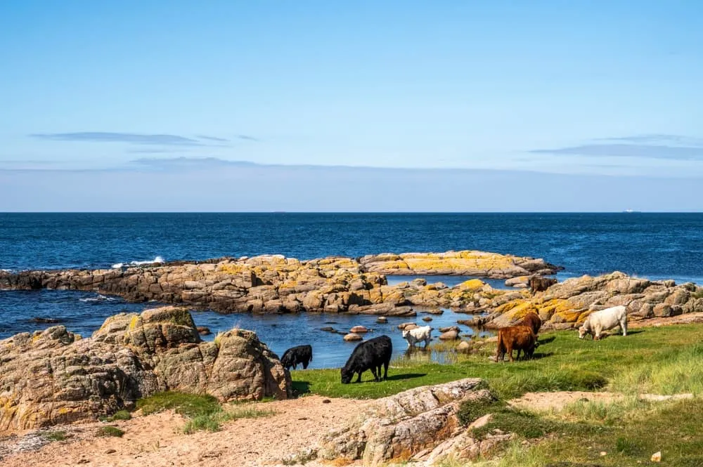 Pobřežní stezka Bornholm 6