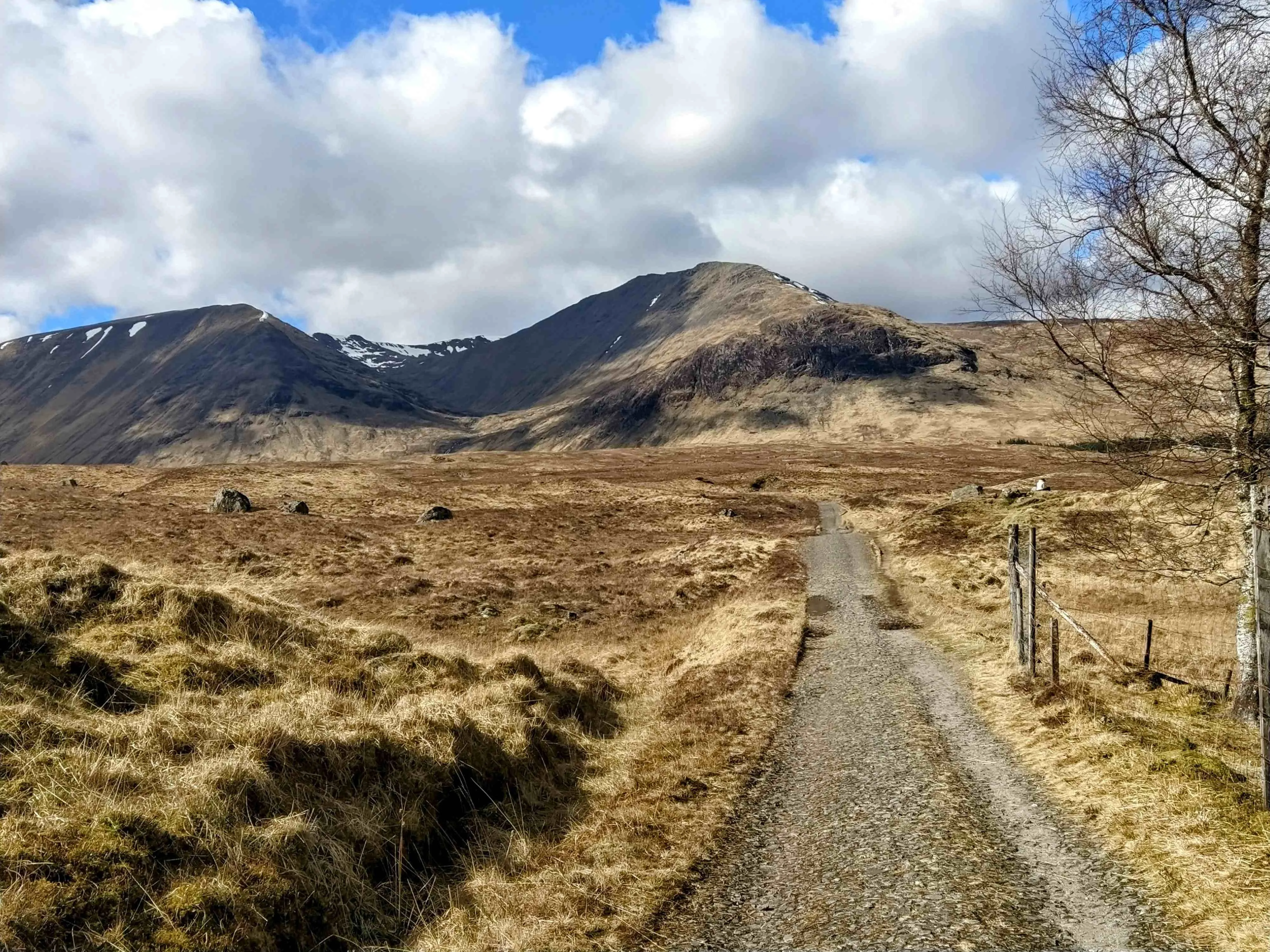 Básico West Highland Way – Medio 5