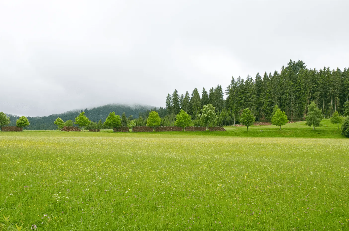 Kurzer Schluchtensteig – Mittelstufe