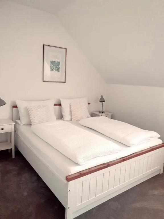 Penzion Apartmány Libošovice (Libošovice)
