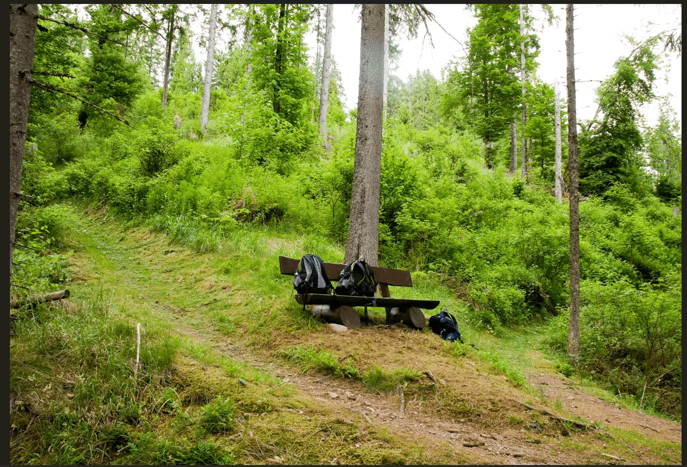 Kurzer Schluchtensteig – Mittelstufe 1