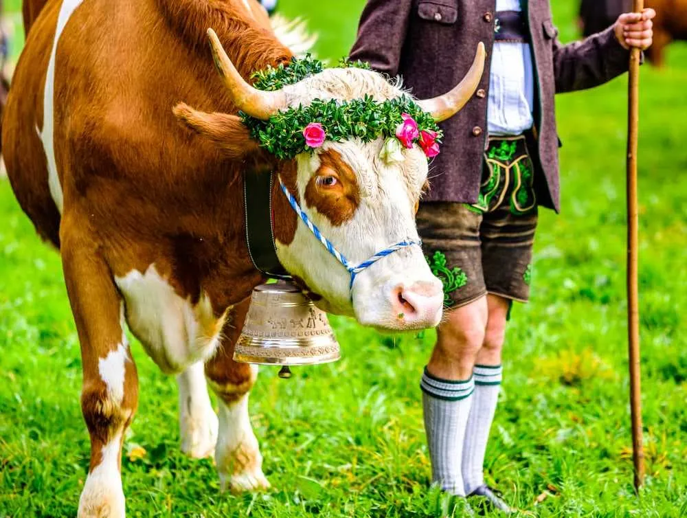 Life with the Seasons