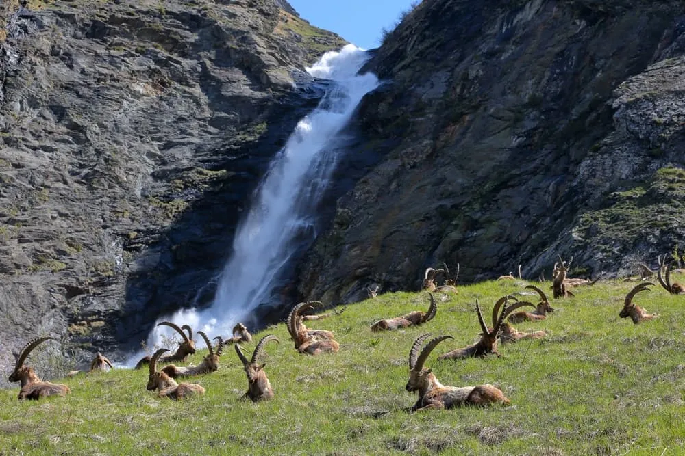Pokročilá Tour de Vallaisonnay pre nadšencov výšok 6